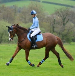 Woof Wear Colour Fusion Dressage Wraps - All Colours 13 Woof Wear Colour Fusion Dressage Wraps - All Colours -The Horse Care Shop woof wear woof wear colour fusion dressage wraps all colours 22724.1631353350