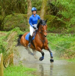 Woof Wear Colour Fusion Pro Over Reach Boots - All Colours -The Horse Care Shop woof wear woof wear colour fusion pro over reach boots all colours 10644.1631354316