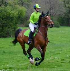 Woof Wear Colour Fusion Pro Over Reach Boots - All Colours -The Horse Care Shop woof wear woof wear colour fusion pro over reach boots all colours 12563.1631354910