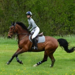 Woof Wear Colour Fusion Pro Over Reach Boots - All Colours -The Horse Care Shop woof wear woof wear colour fusion pro over reach boots all colours 62187.1631353360