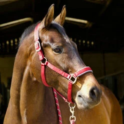 Woof Wear Headcollar And Leadrope - All Colours